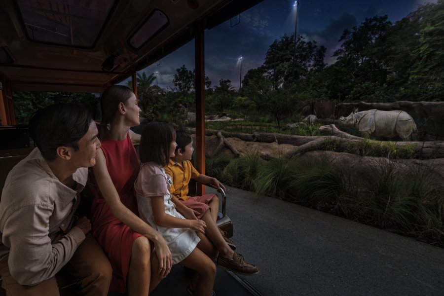 Un paseo en tranvía de noche para observar un rinoceronte en el Night Safari.