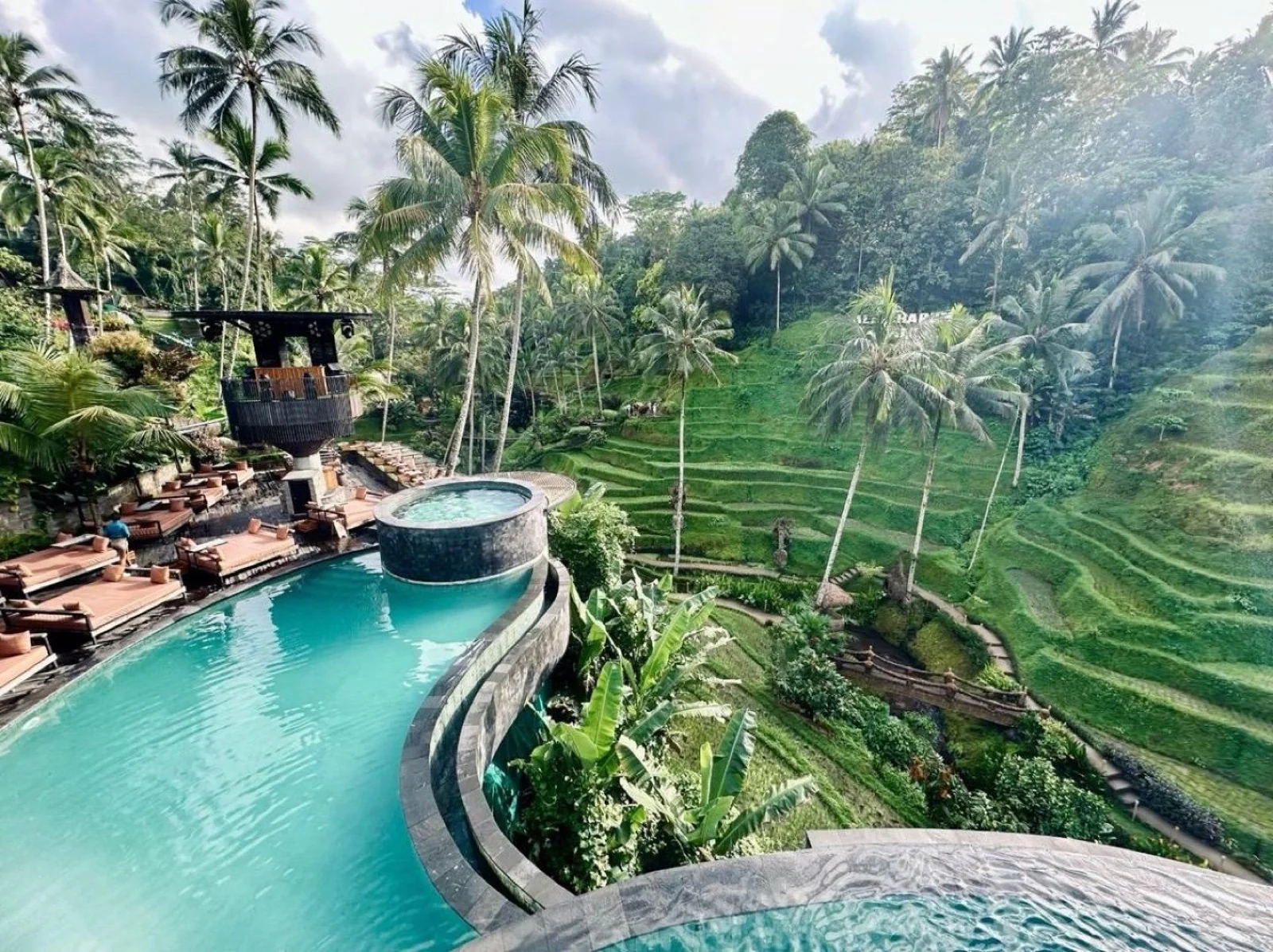Piscina y arrozales en Ubud, Bali
