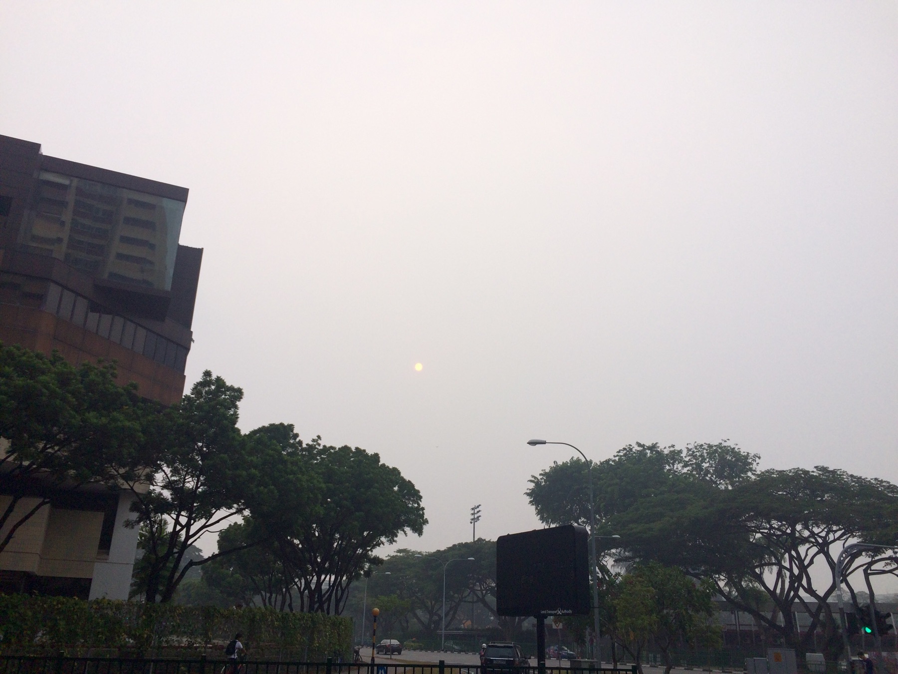 La bruma de humo cubre los árboles y edificios de Singapur durante un episodio de haze.