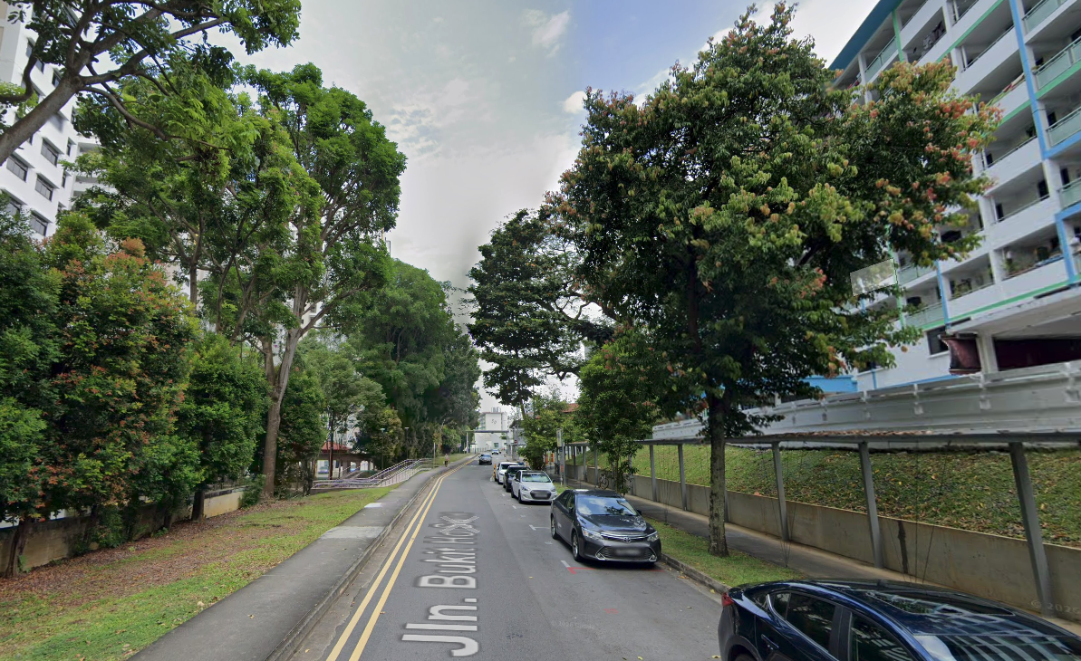 Una calle de Singapur con grandes árboles y mucha vegetación entre los edificios.